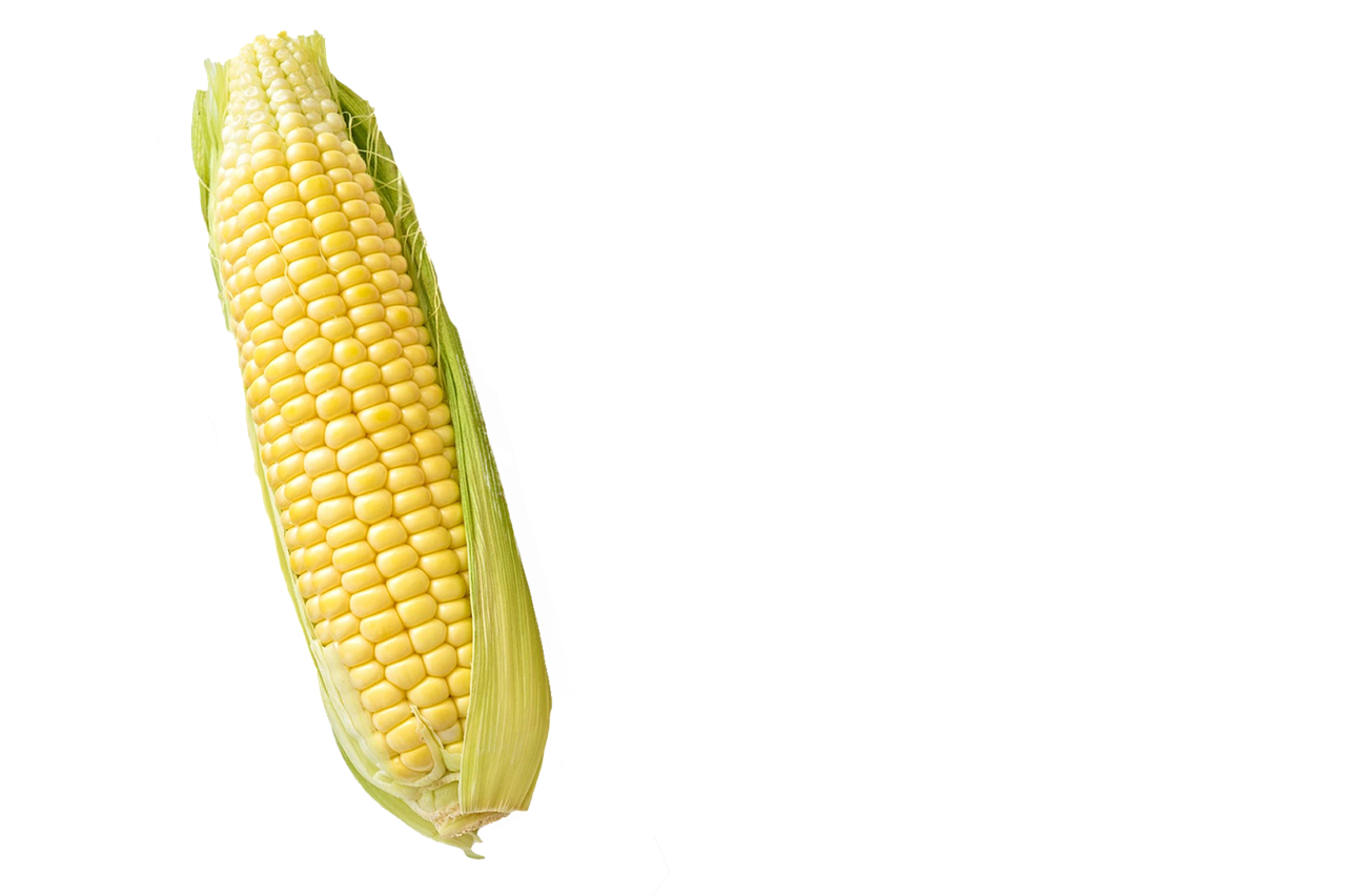 酵素ドリンクとGMOの比較で知っておくべきポイントは？