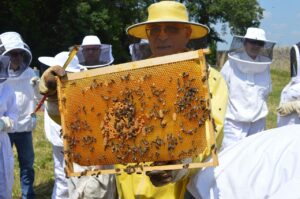 酵素ドリンクの置き換えに失敗する理由とは？